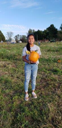 Pumpkin Patch